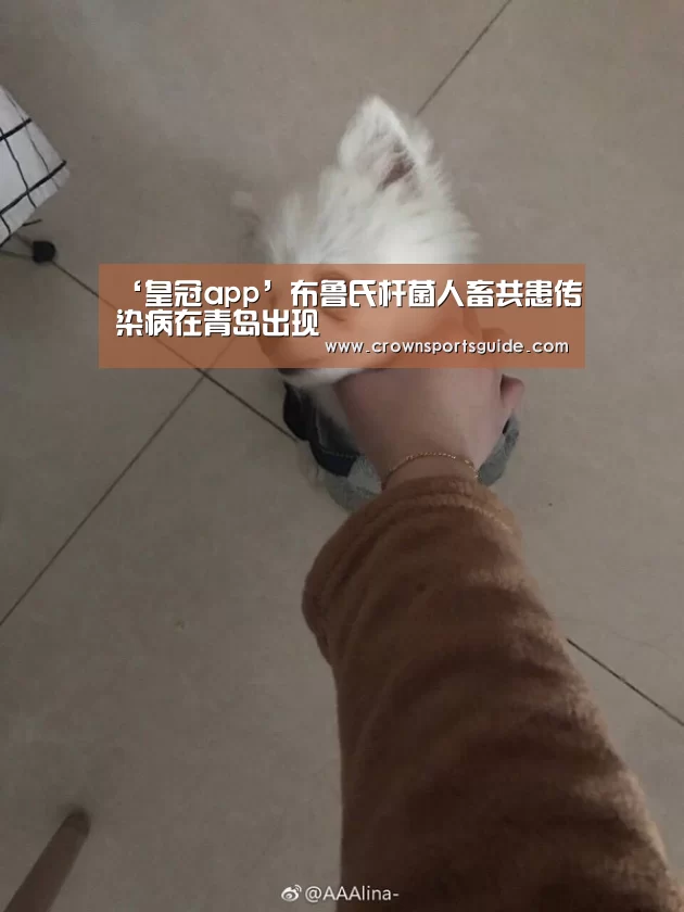 皇冠app