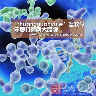 ‘huangguanyule’畜牧今年要打造两大品牌(图1) 皇冠app
